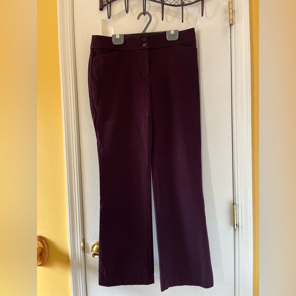 Loft Julie Purple Women's Pants